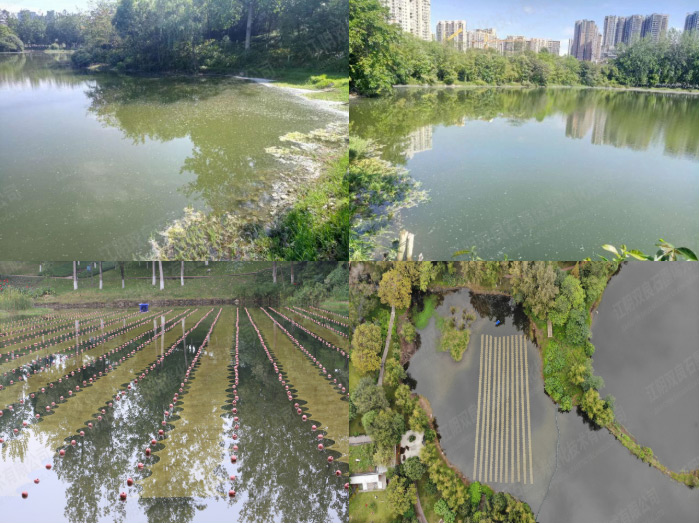 ���ι���|UB8���ι���|��������δ��