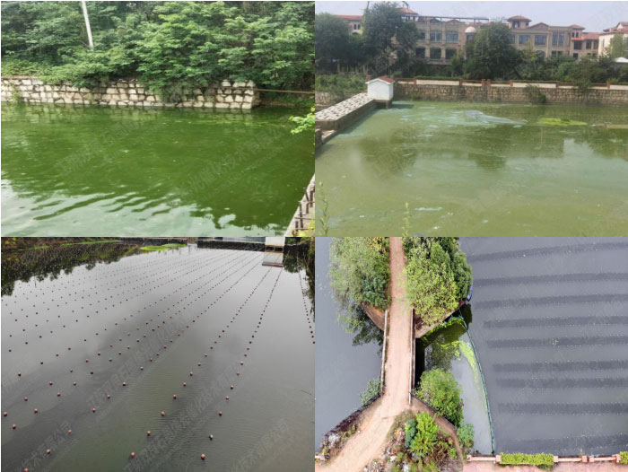 ˮ������-����ʡ��ɳ�г��Һ�