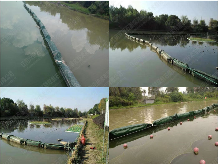 ˮ������-����ʡ�Ϸ���̶���