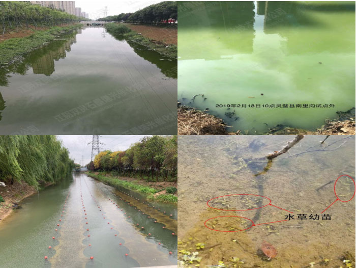 �ڳ�ˮ������-����ʡ��������������