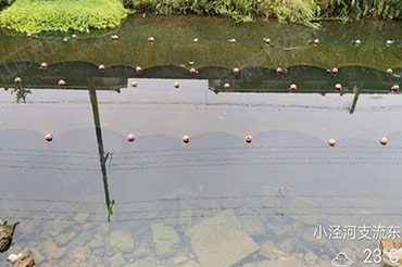 ˮ������-����ʡ������С����