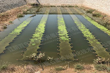 �ڳ�ˮ������-����ʡ�������������Գ�