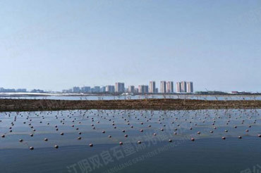 �ڳ�ˮ������-����ʡ������������ʪ�ع�԰ǰ����