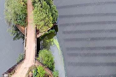 ˮ������-����ʡ��ɳ�г��Һ�