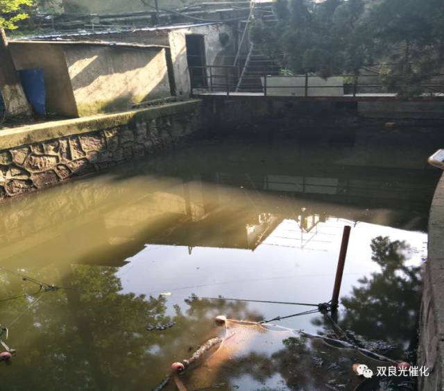 ���ι���|UB8���ι���|��������δ��