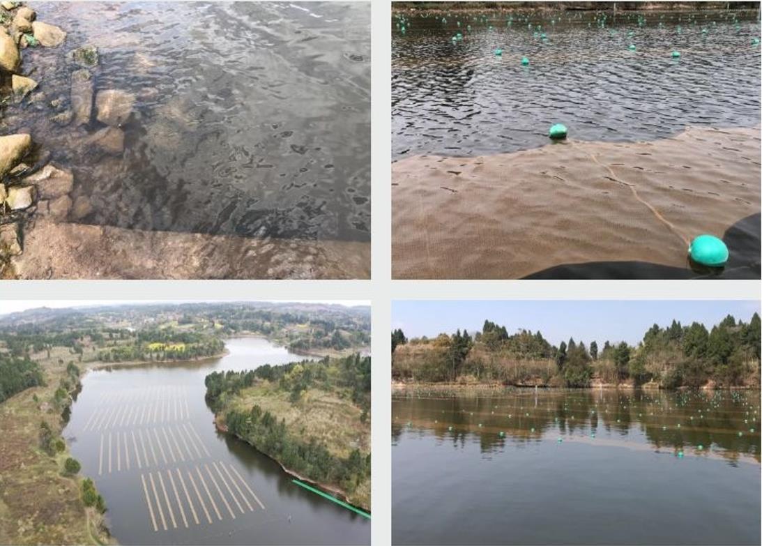 ���̲������㽭����ˮ��ˮ��ˮ���޸�����Ч����Ŀ