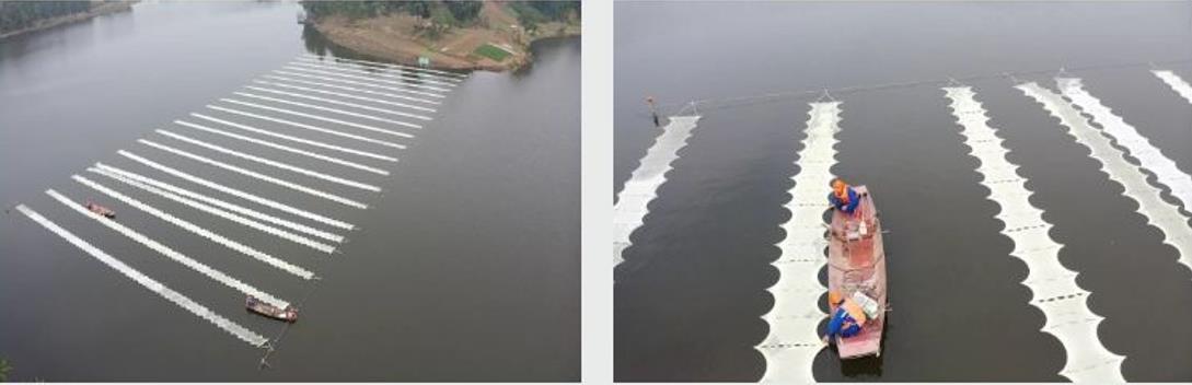 ���ι���|UB8���ι���|��������δ��