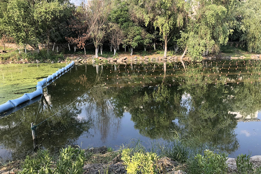 ��Ȼ���������ڳ�-����ʡ����������ͷ���ӱ���