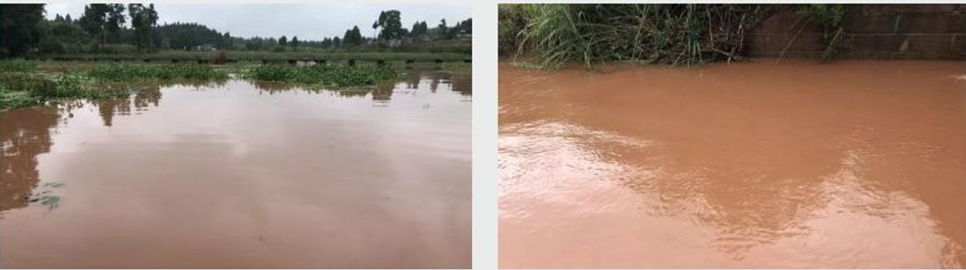 ���̲������㽭����ˮ��ˮ��ˮ���޸�����Ч����Ŀ