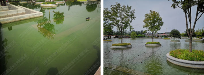 δ���ۿ������������ڳ�-����ʡ�Ͼ��й�¥������Ӫ����