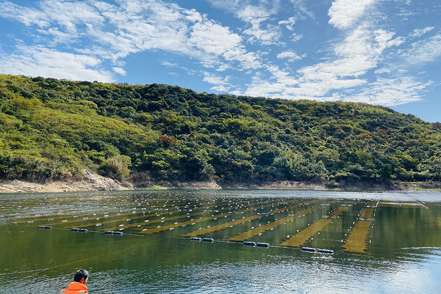 ���ι���|UB8���ι���|��������δ��