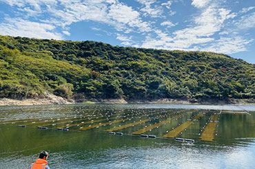 ��Ū��ˮ��ˮԴ�ع�߻���ˮ��������