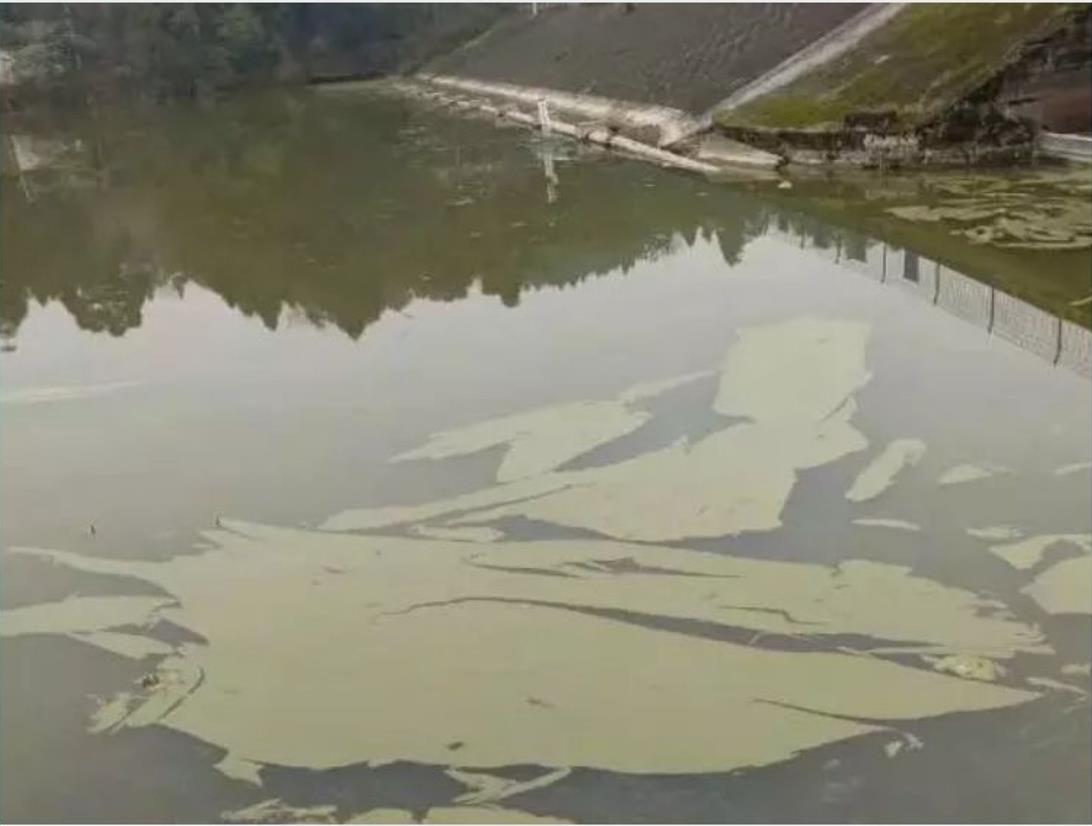 ���ι���|UB8���ι���|��������δ��