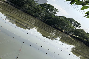 δ���ۿ������������ڳ�-����ʡ�Ͼ��й�¥������Ӫ����