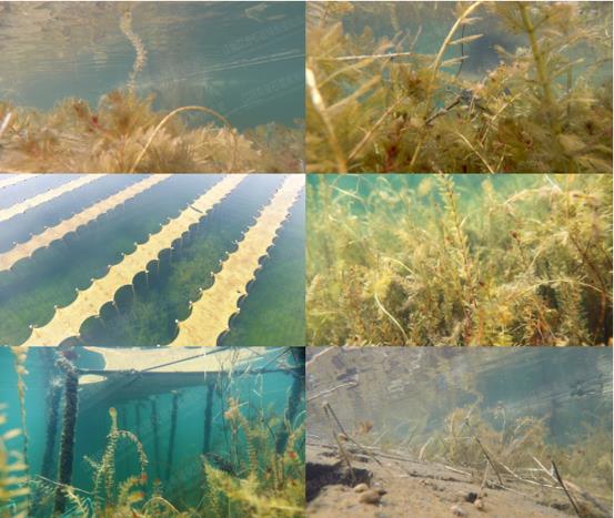 ���ι���|UB8���ι���|��������δ��