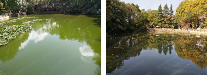 ���ι���|UB8���ι���|��������δ��