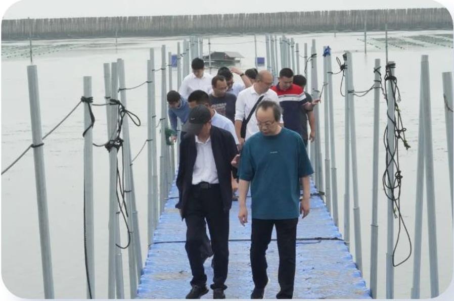 ���ι���|UB8���ι���|��������δ��