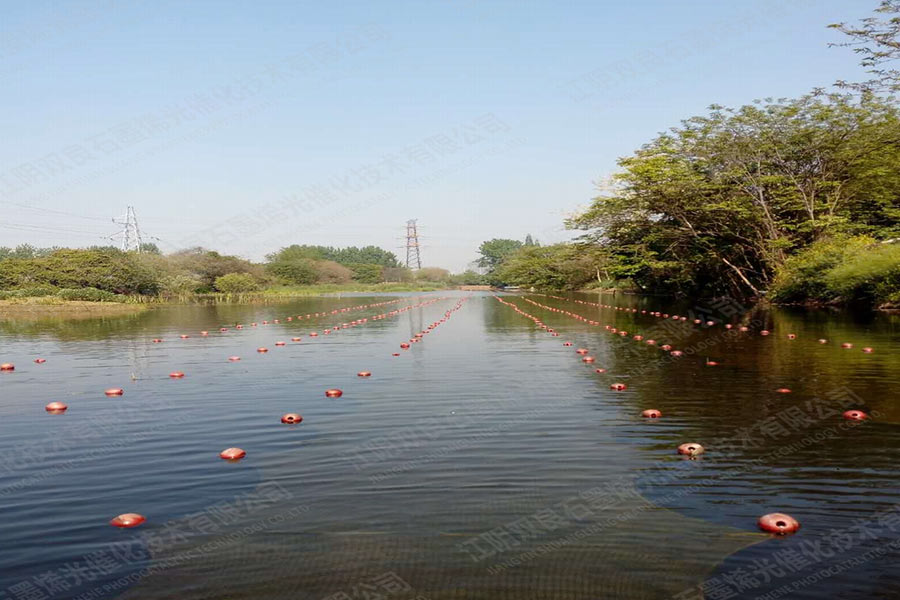 δ���ۺ��������ڳ�-����ʡ��������ʮ�ֺ�