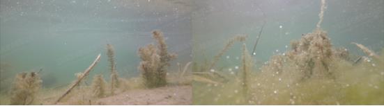 ���ι���|UB8���ι���|��������δ��