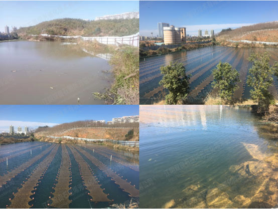 ���ι���|UB8���ι���|��������δ��