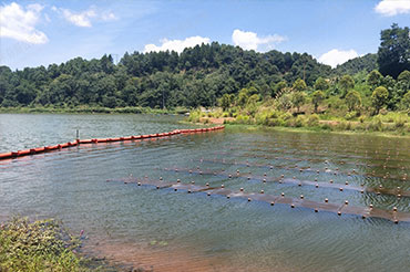 ����ˮ������-����ʡ����г��˺�