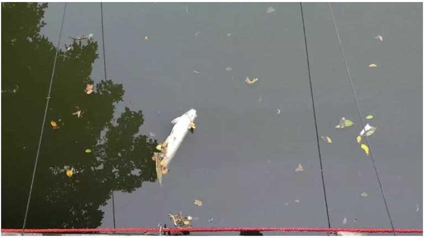 ���ι���|UB8���ι���|��������δ��