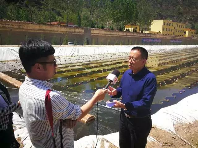 ���ι���|UB8���ι���|��������δ��