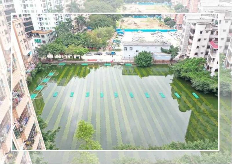 ���ι���|UB8���ι���|��������δ��