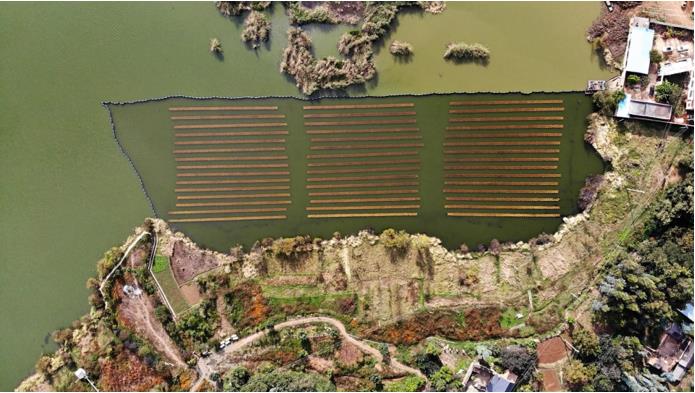 ���ι���|UB8���ι���|��������δ��