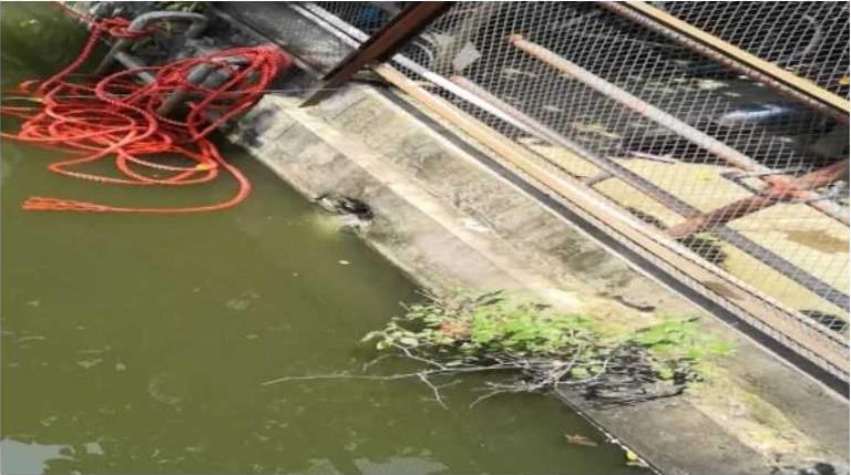 ���ι���|UB8���ι���|��������δ��