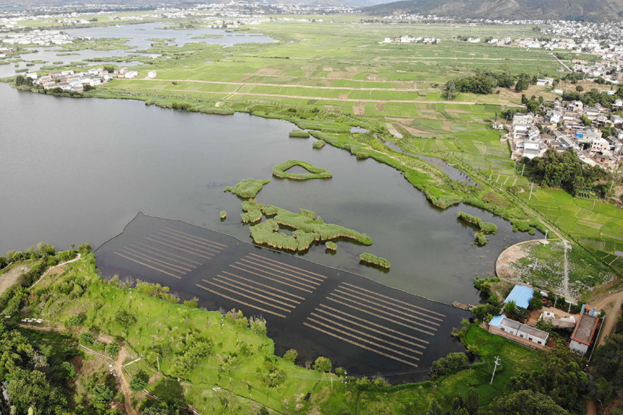 ���ι���|UB8���ι���|��������δ��