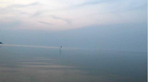 ���ι���|UB8���ι���|��������δ��