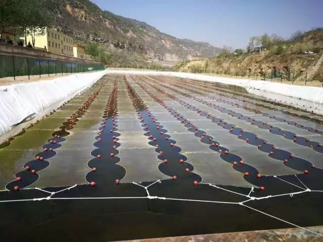 ���ι���|UB8���ι���|��������δ��