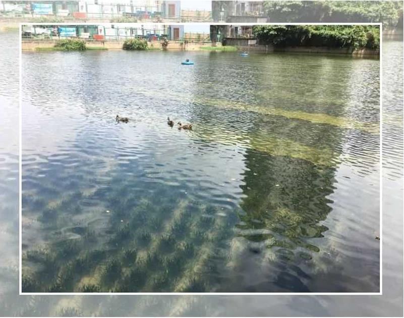 ���ι���|UB8���ι���|��������δ��