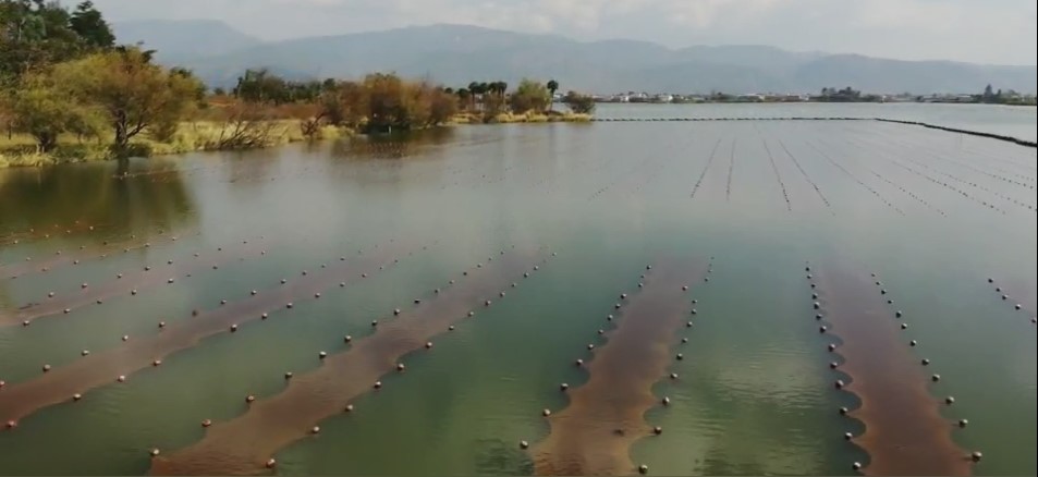 ���ι���|UB8���ι���|��������δ��