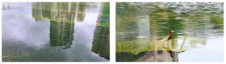 ���ι���|UB8���ι���|��������δ��