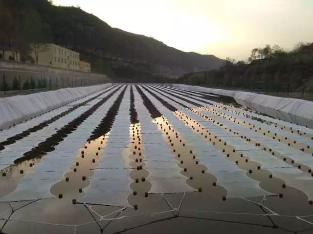 ���ι���|UB8���ι���|��������δ��