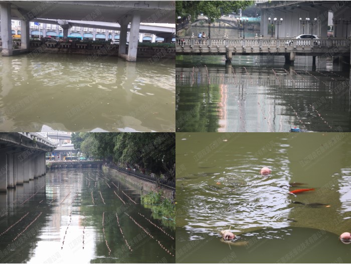 ���ι���|UB8���ι���|��������δ��