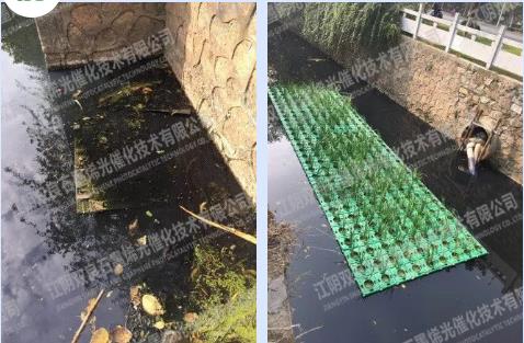 ���ι���|UB8���ι���|��������δ��