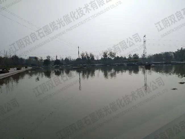 �Ϻ�������Ժ���ݷֹ�˾����ǽ��ƽ���