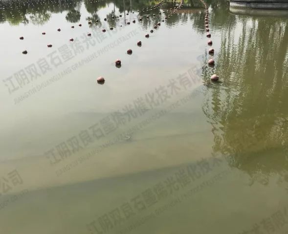 �й��ܽ����ްӼ����׸�PPPģʽ������ˮ����������Ŀ�깤