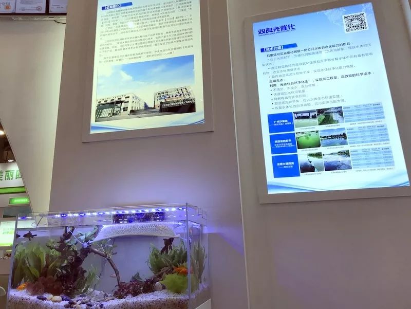 ���ι���|UB8���ι���|��������δ��