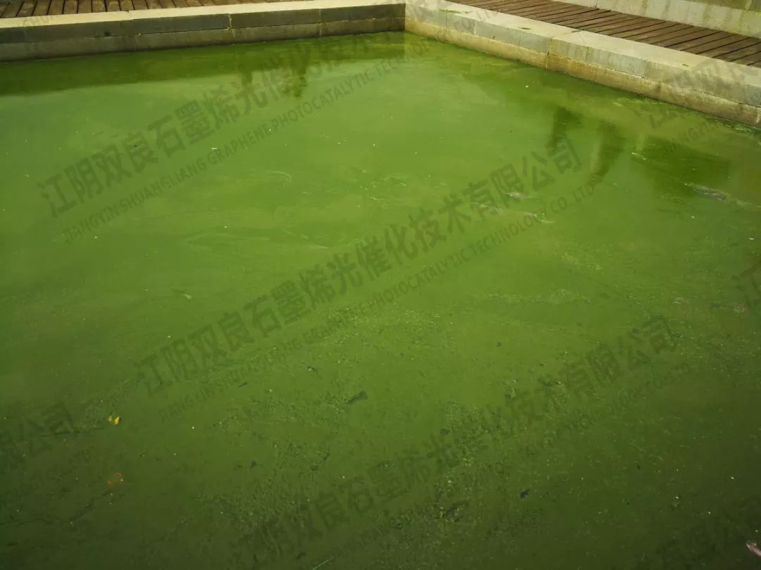 ���ι���|UB8���ι���|��������δ��