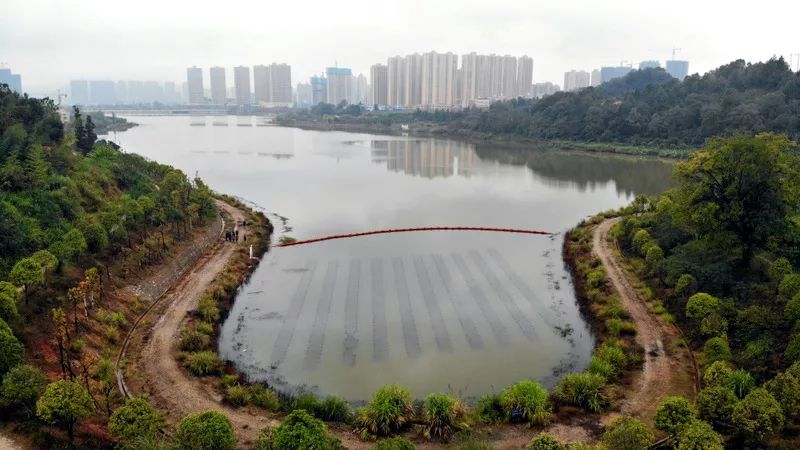 ���ι���|UB8���ι���|��������δ��