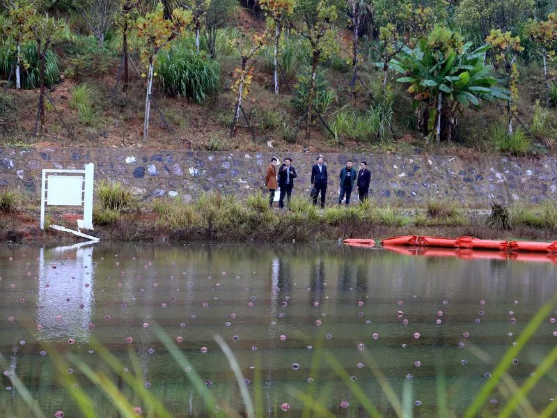 ���ι���|UB8���ι���|��������δ��