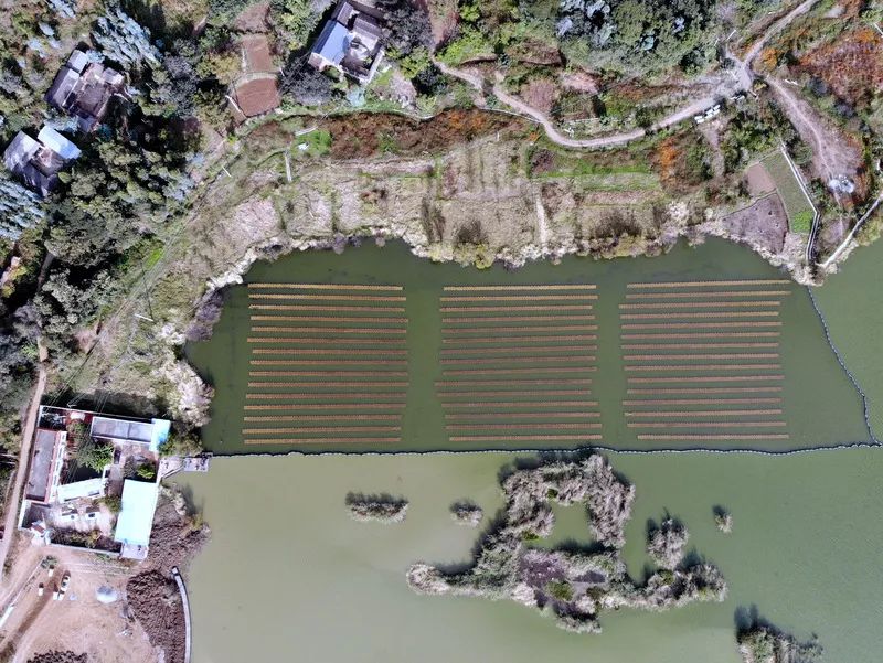 ���ι���|UB8���ι���|��������δ��