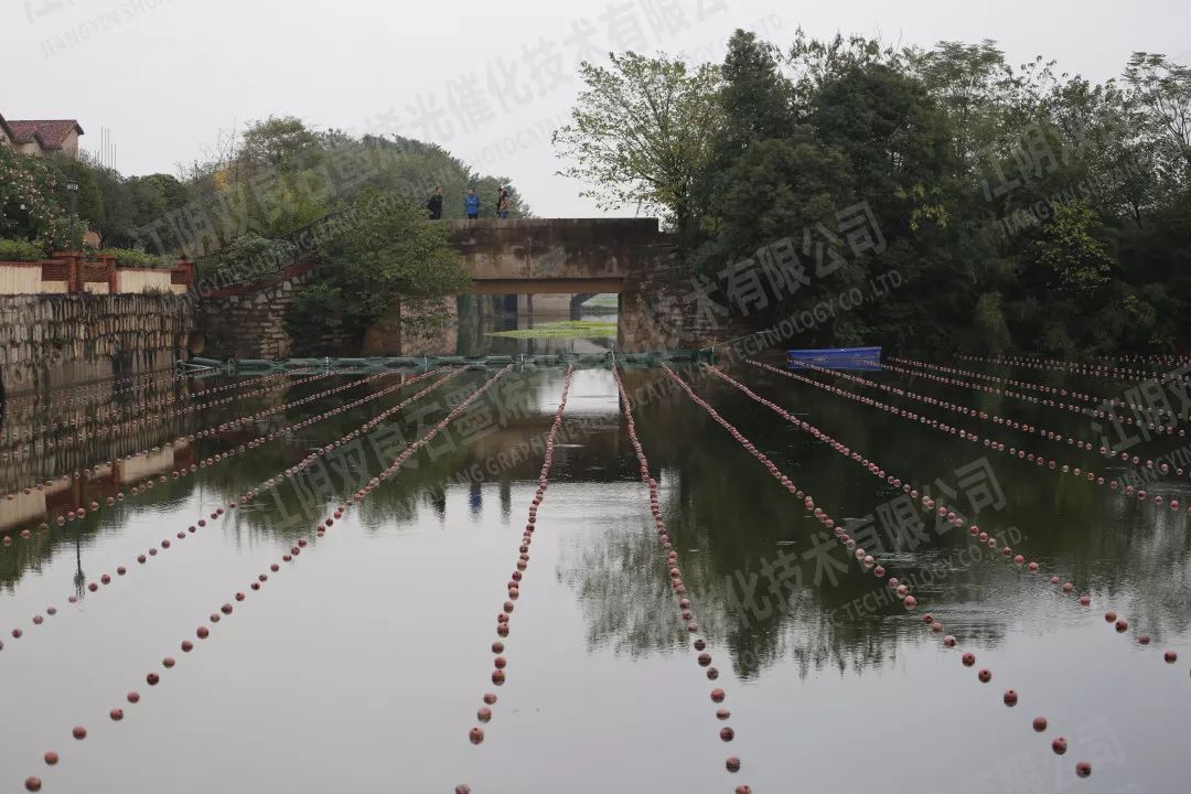 ���ι���|UB8���ι���|��������δ��