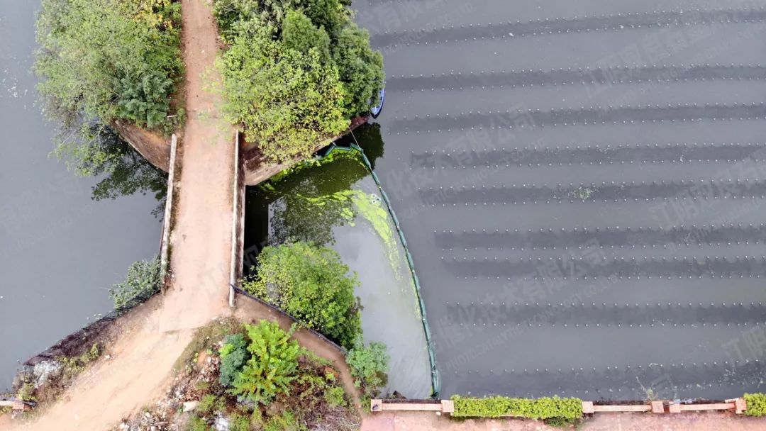 ���ι���|UB8���ι���|��������δ��