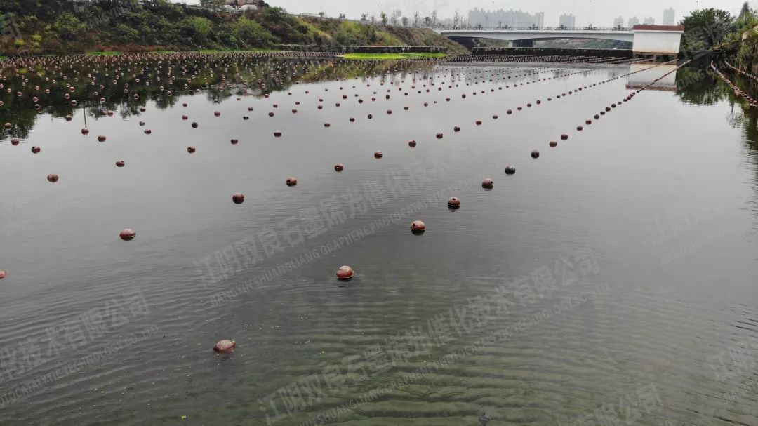 ���ι���|UB8���ι���|��������δ��