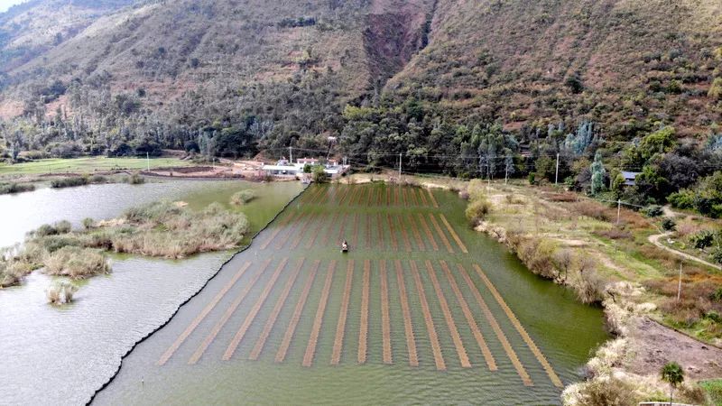 �����ι���ub8���͹�߻��ô���Ȼ��ʵ���޸�����Ȼ